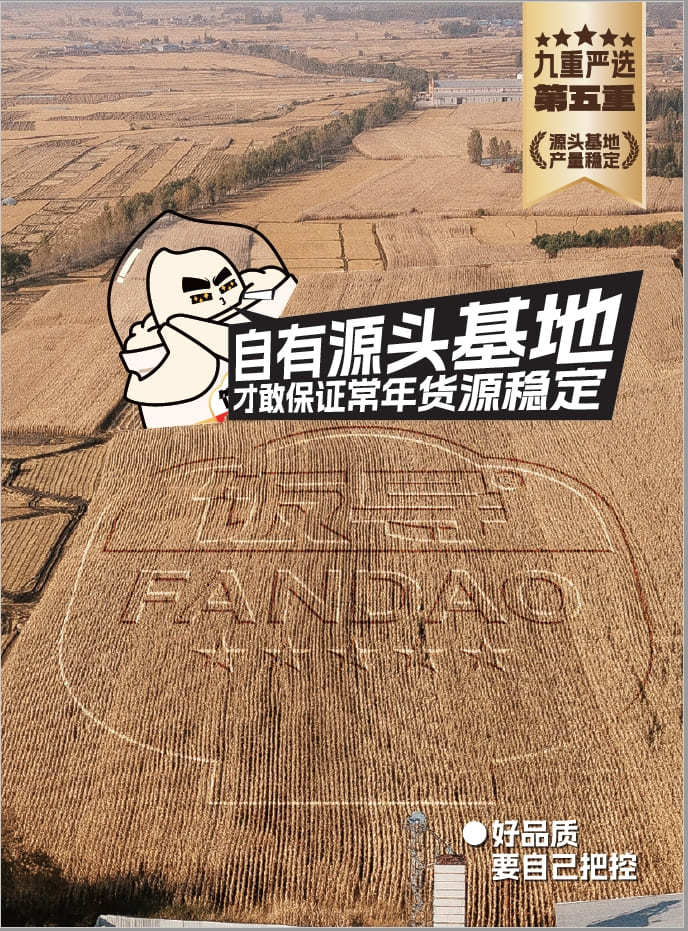 第五重：源头基地